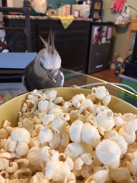 Boy, you really weren't kidding. This will be one for the record books. But in the meantime.... (more chomping. and more cheering.)