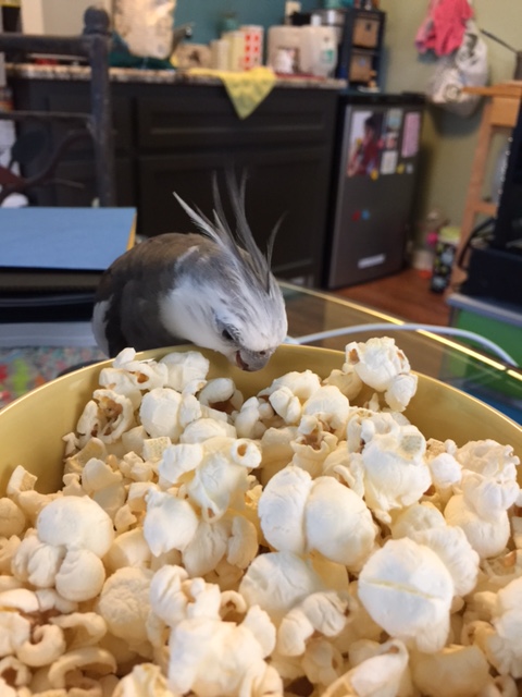 What do you mean, "waiting to be eaten?" That seems like a cover story in my expert opinion - and a pretty flimsy one at that.