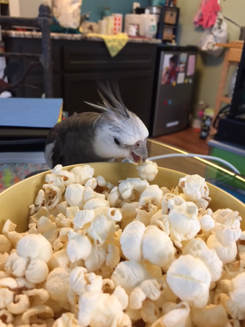 It seems the only thing for it is to test your story personally. (opens beak, takes huge chomping bite.)