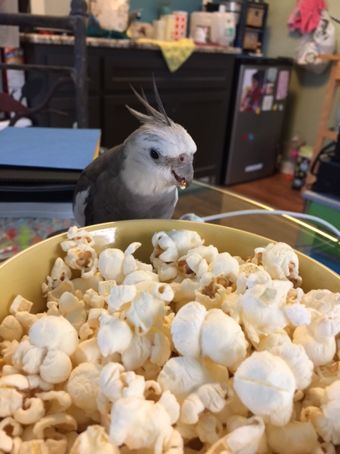 inspectorpopcorn6
