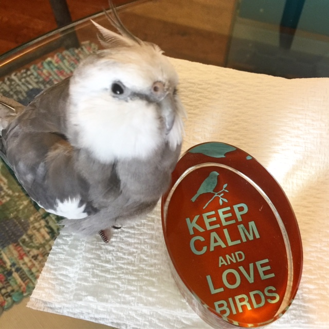 Pearl, with a timely holiday reminder we can all use.