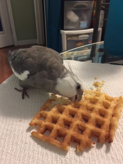 Just one more bite should do it....case closed.