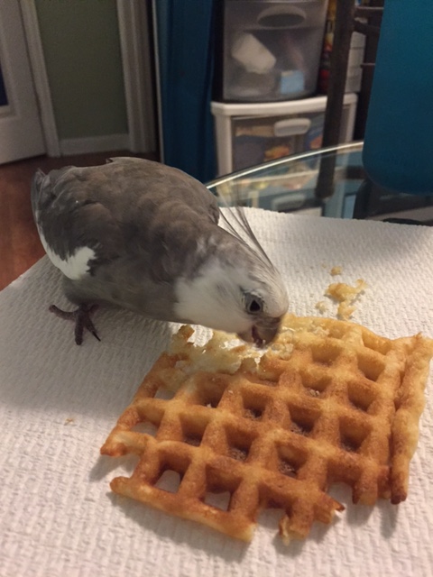 Did you just say, "Do you want a piece of me?"