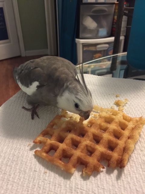 Hello there. You must be today's suspect in for questioning.