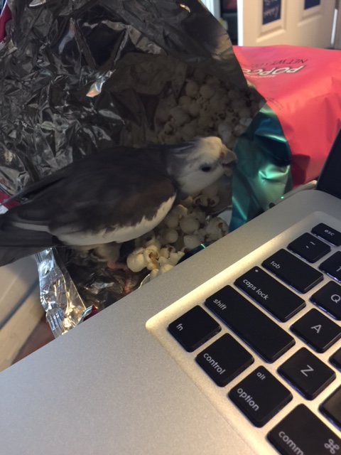 You have good taste in interior design, I will give you that - this shiny crinkly wall is particularly crispy and reflective.