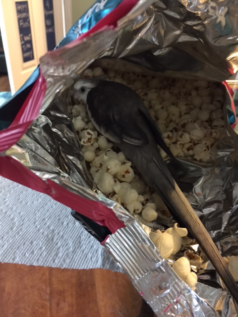 Well, I'm still not convinced you are "eggs," but you are quite crispy, so yes, I think I can accommodate your request.