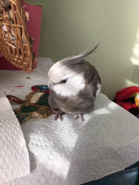 You look suspicious. State your name, rank and serial number.