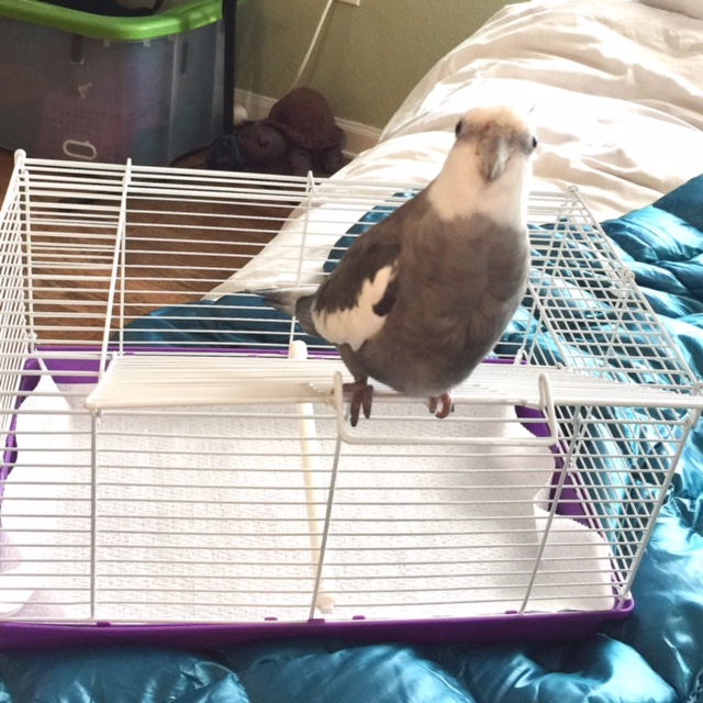 You want me to go where, Mom?