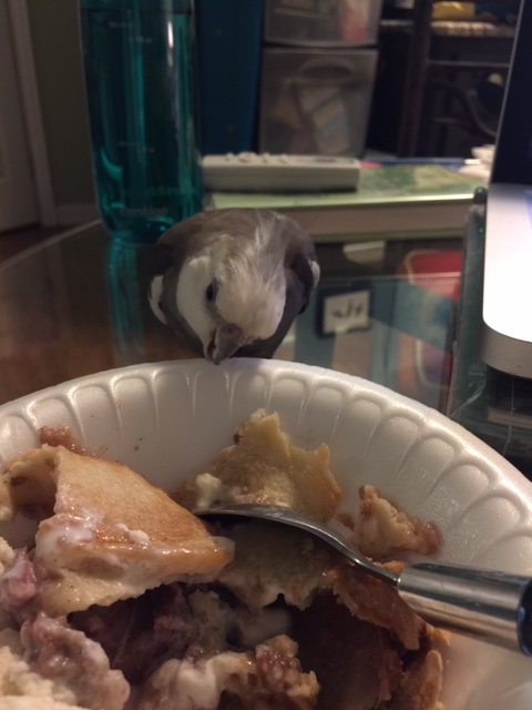 The star leans close to the odd white object, seeming to be listening closely.