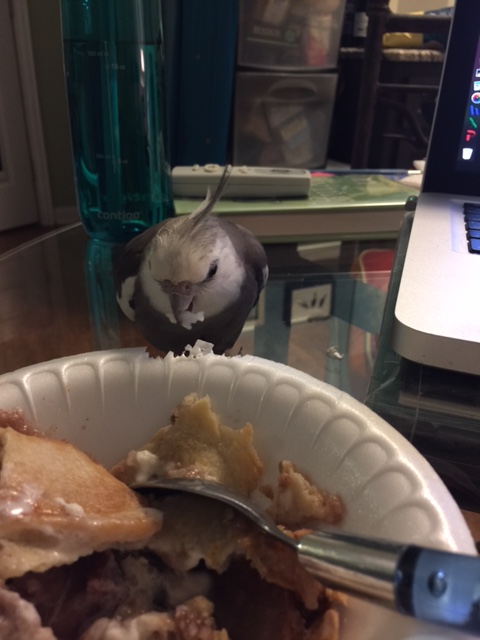 More chomping sounds ensue.