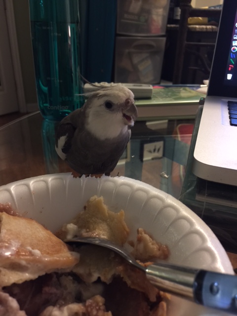 The sound of footsteps approaching distracts the star, and he looks up to see who dares to interrupt him.