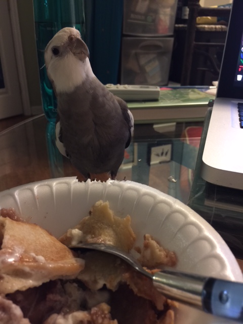 Suddenly, the star rises up to his full and imposing height!