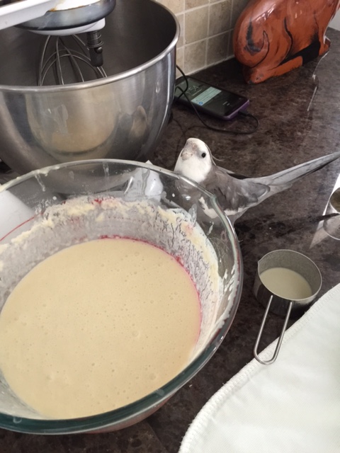 Aha! I've got you now! No waffle can ever hide for long from .007!