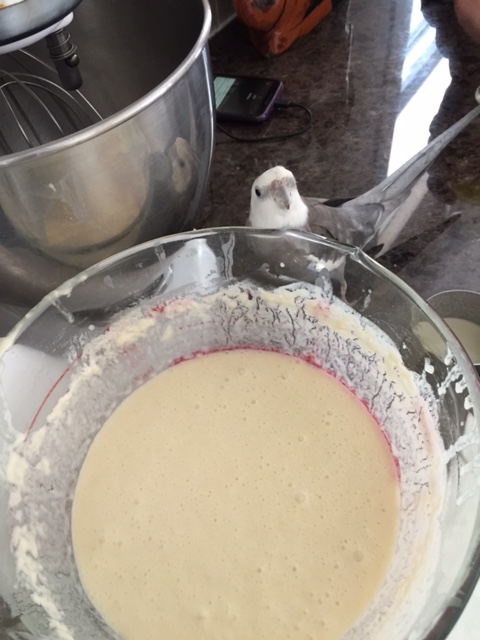Oh there you are, Grandma! The waffles are in this bowl, you say? Well, could you make them look more, um, waffle-y? 