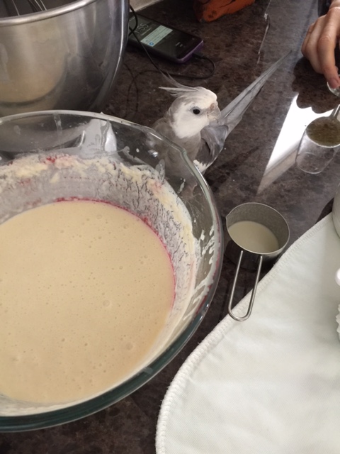 No waffles over there, either. Hmmmmm.....