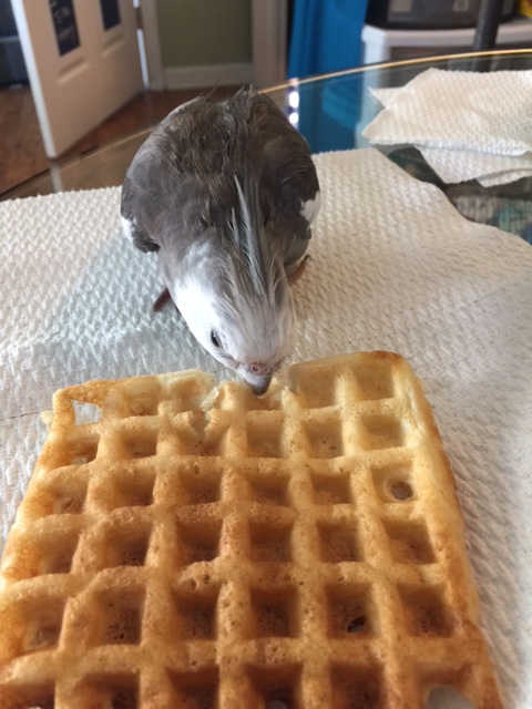 Well if you won't give me your name, I'll have to use my other senses to figure it out.