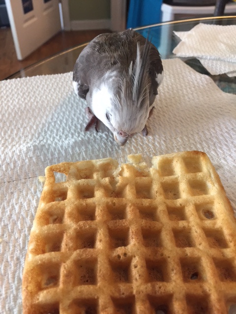 Your name is "Anonymous?" 