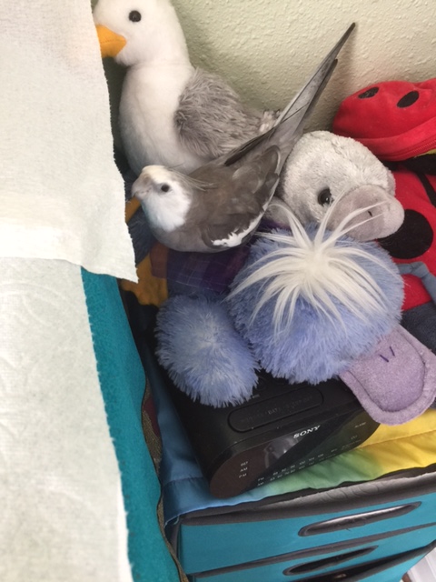 Well, here I am, but something about this gathering doesn't feel quite right.