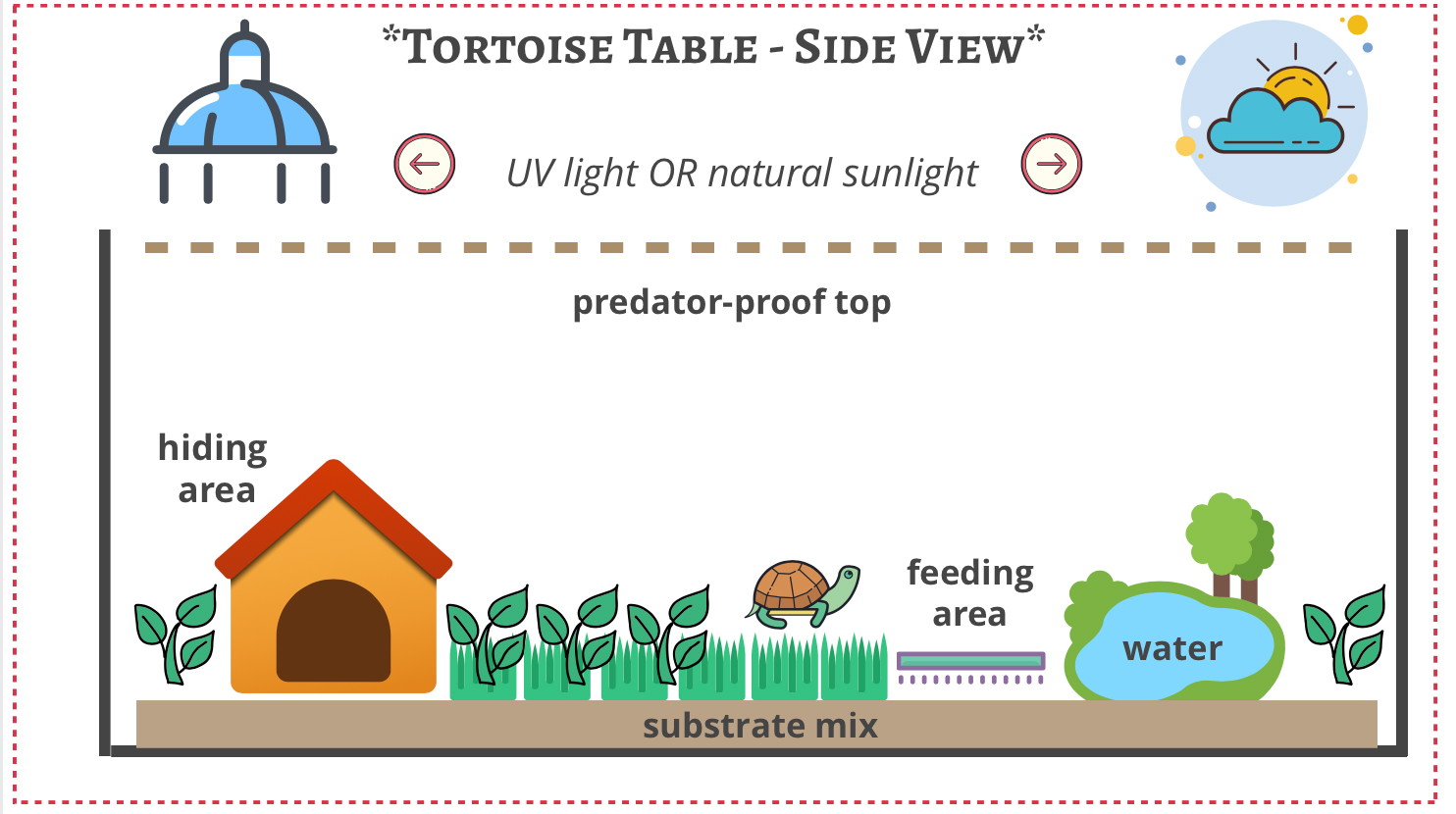 tortoise table side view layout