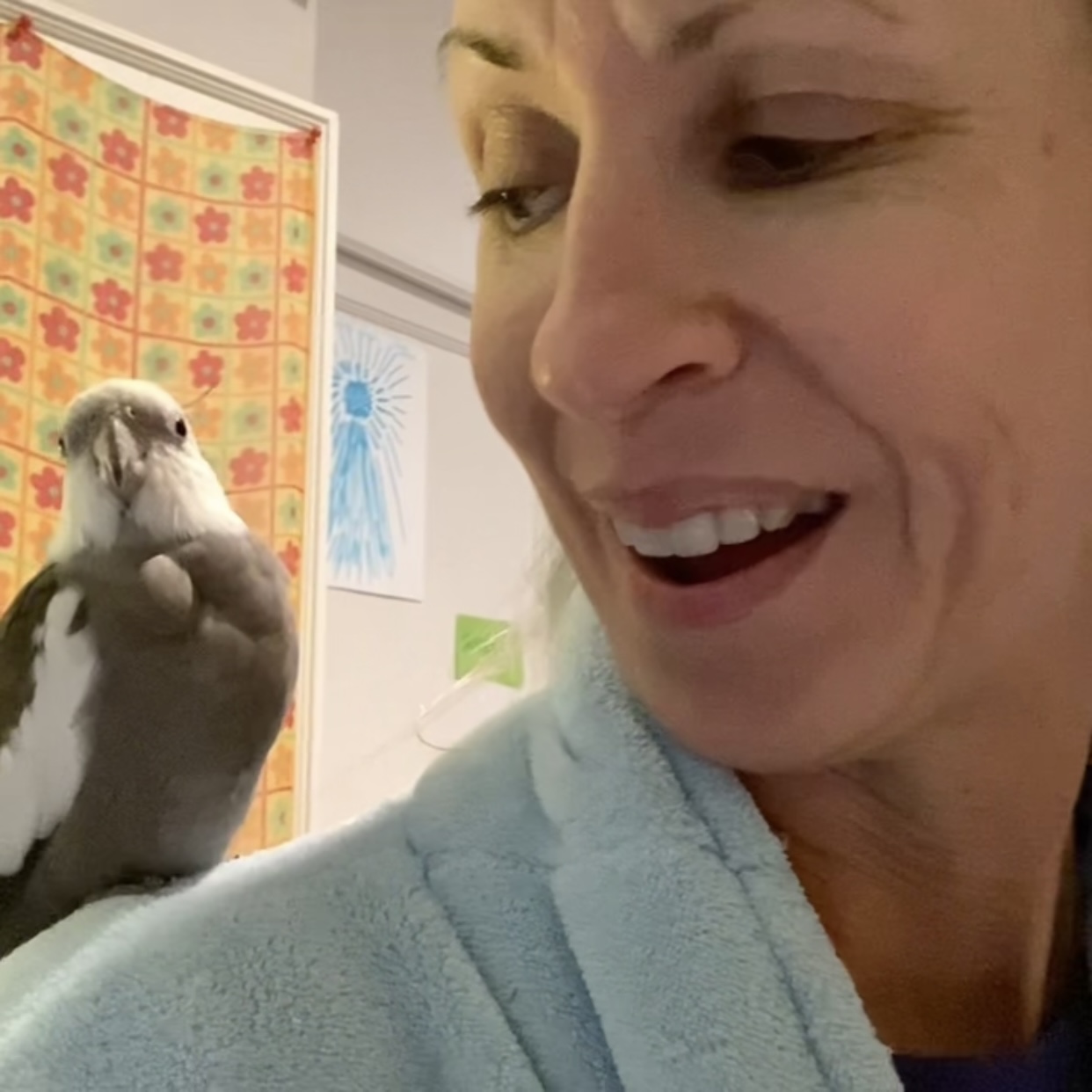 cockatiel sits on shoulder