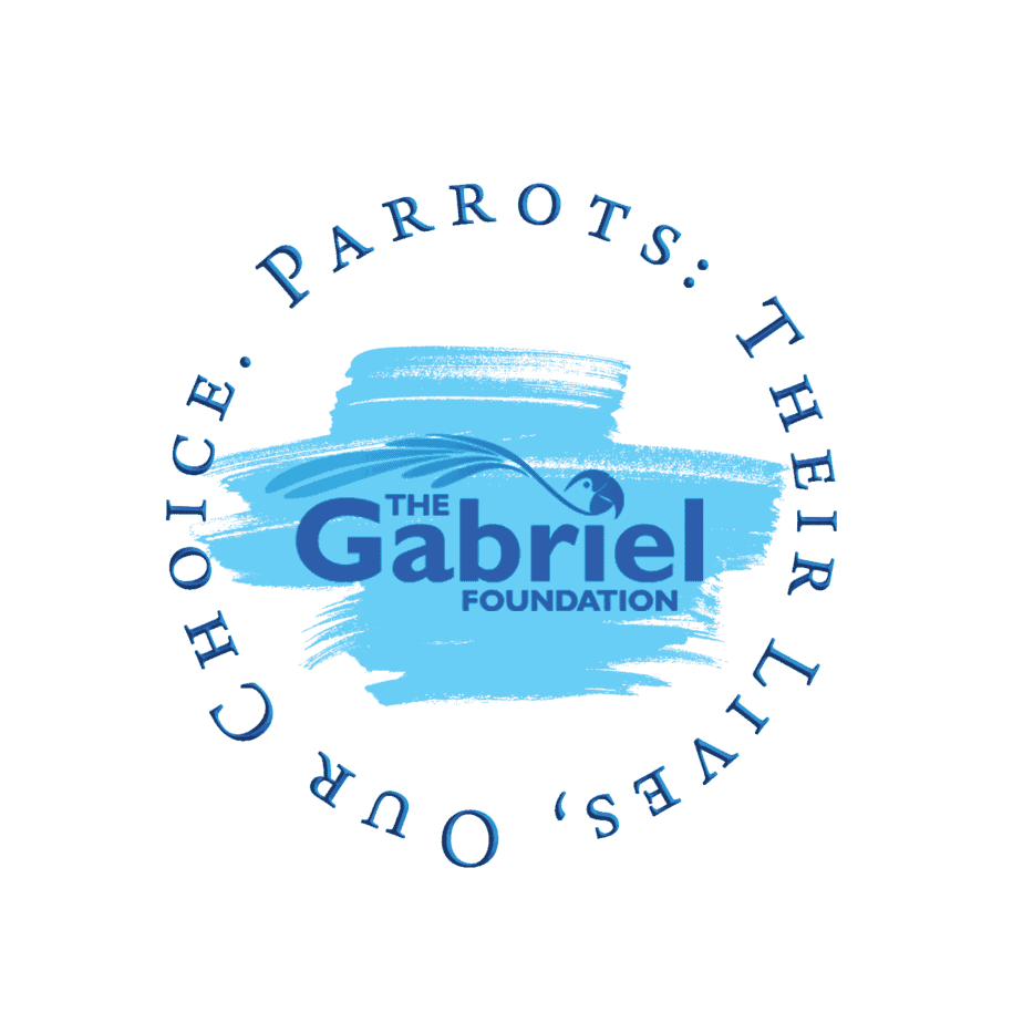 The Gabriel Foundation