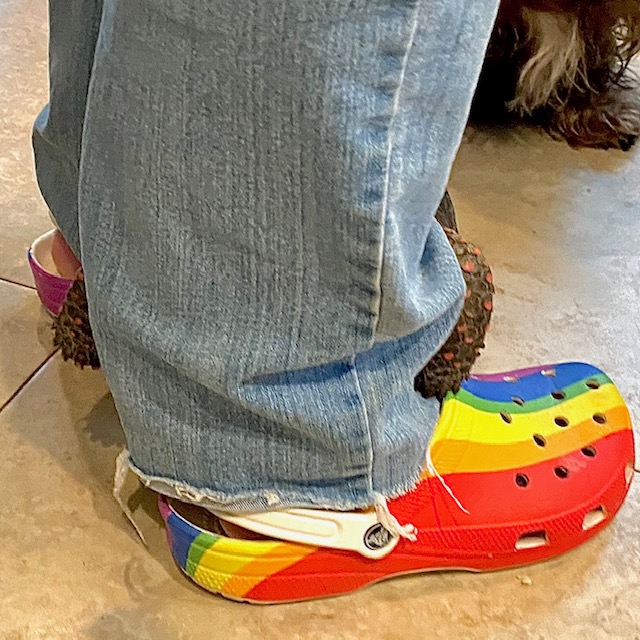 redfoot tortoise hugs