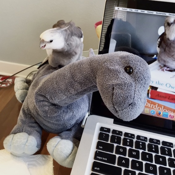 cockatiel sits on dinosaur