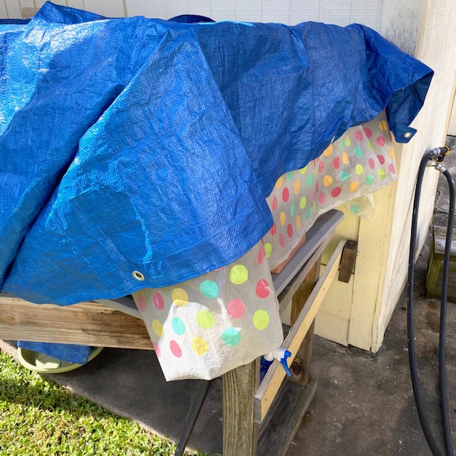 box turtle habitat hibernation prep