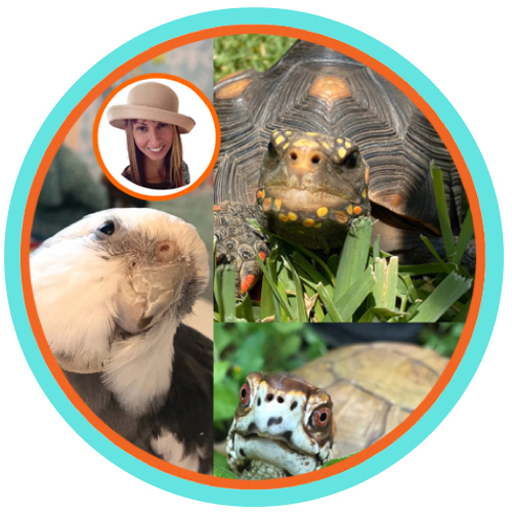 Shannon Cutts with her interspecies family