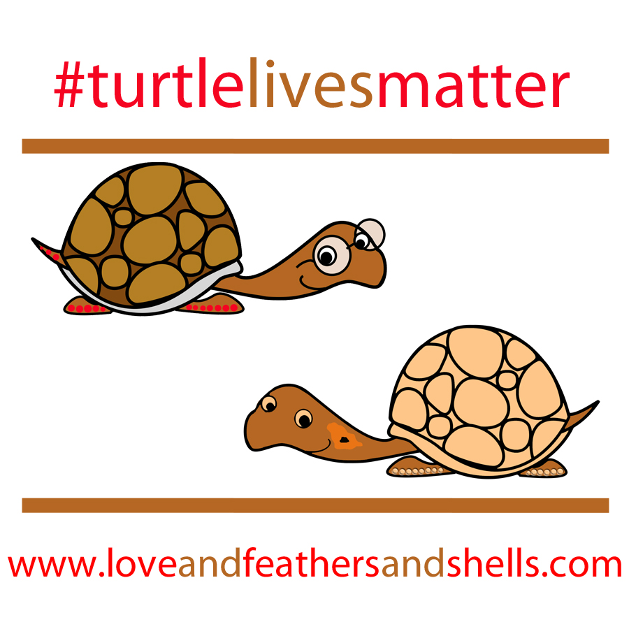 Turtle lives matter