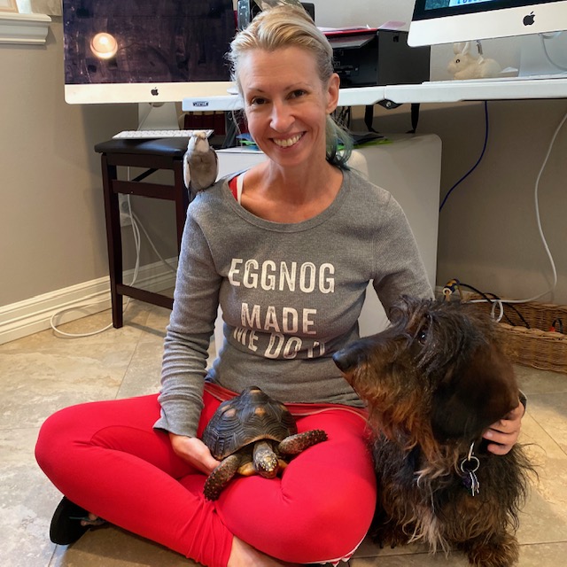 cockatiel redfoot tortoise dachshund friends