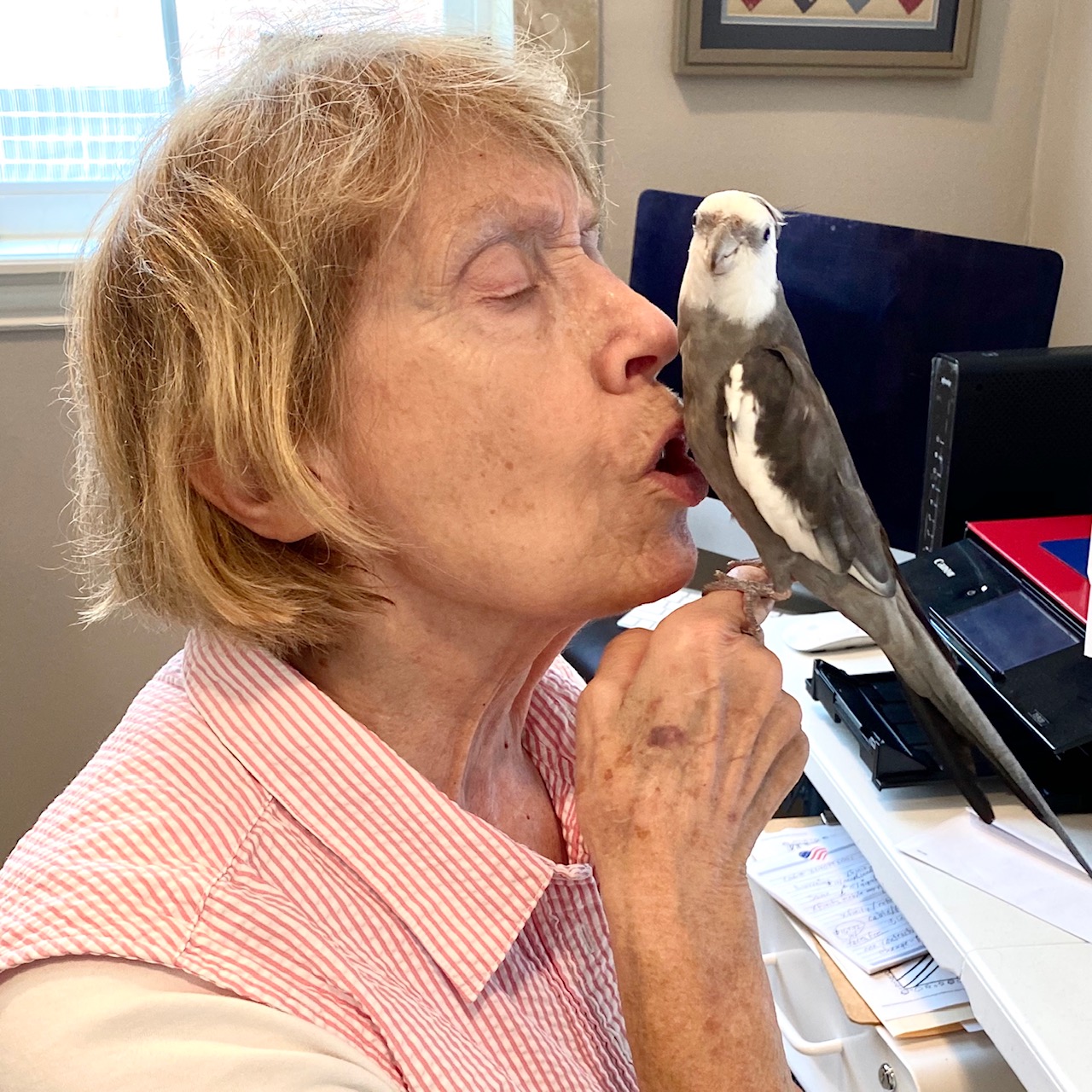 grandma kisses cockatiel belly