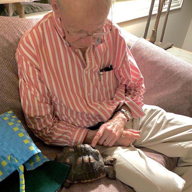 tortoise with her grandpa