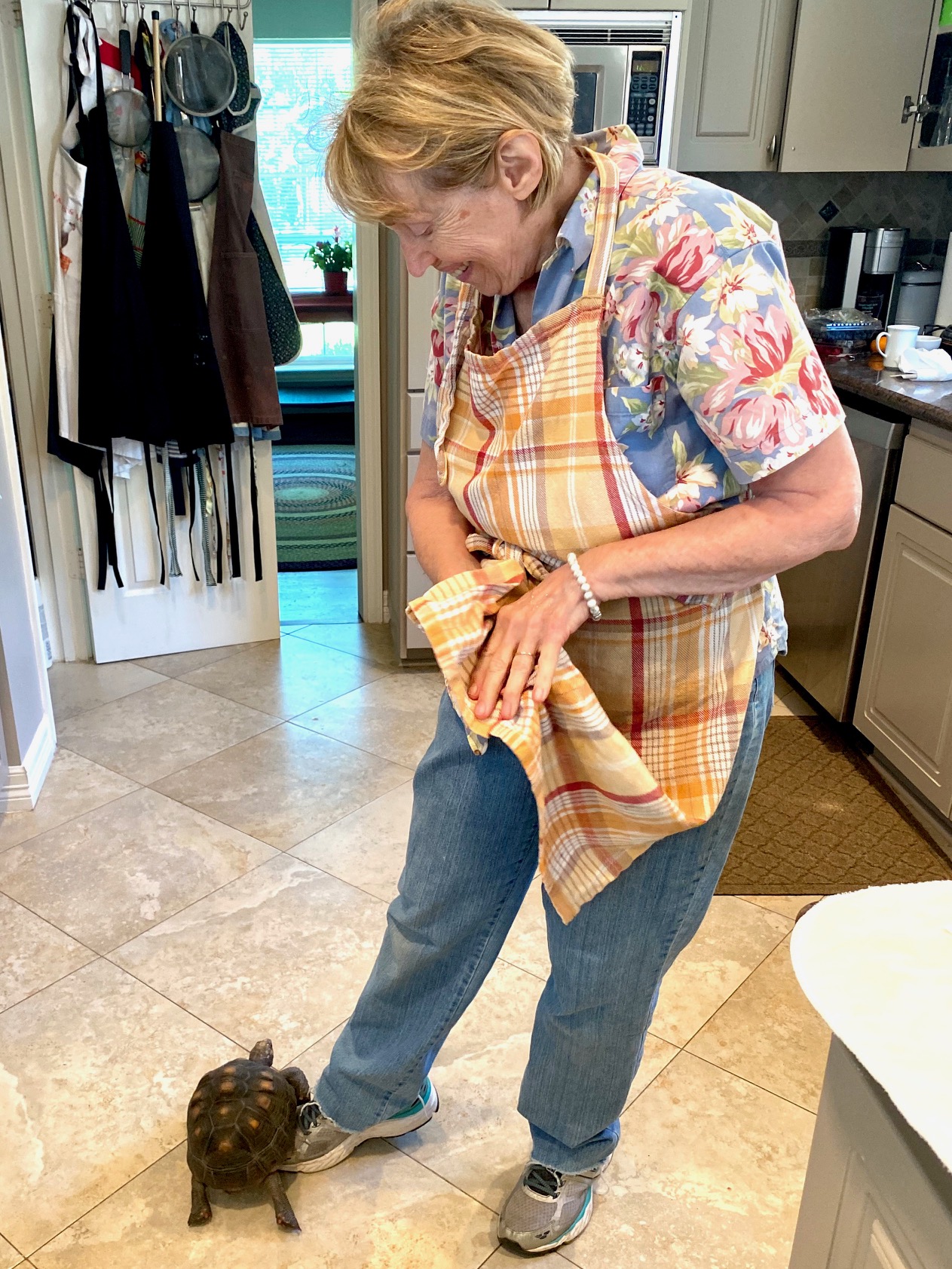 tortoise stands on grandma's leg