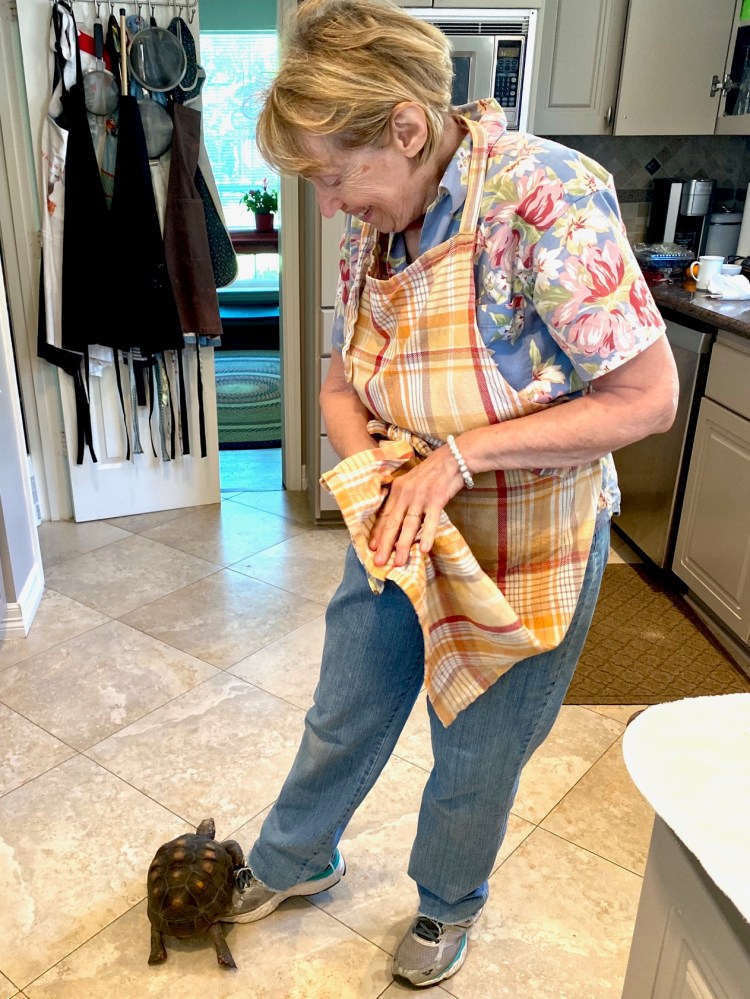 tortoise stands on grandma's leg