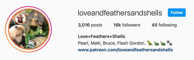 Love & Feathers & Shells on Instagram