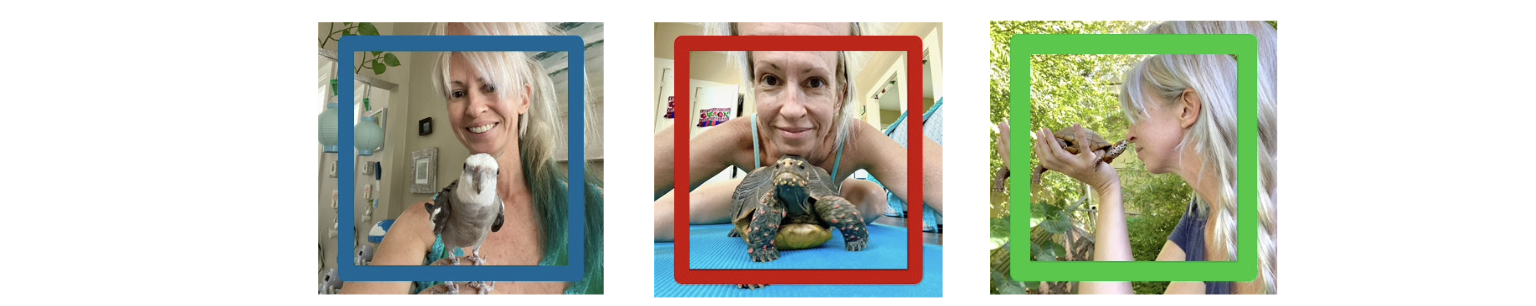 Love and Feathers and Shells banner