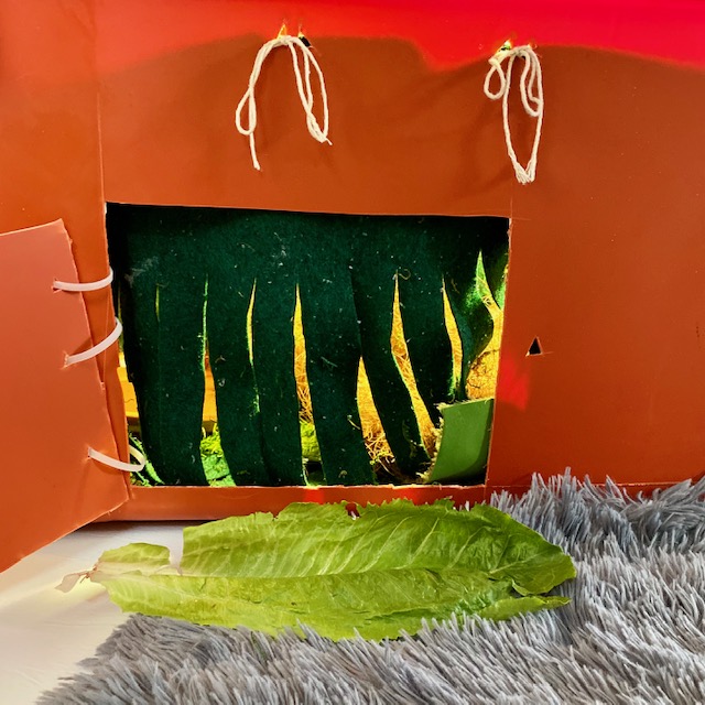 Tortoise door habitat