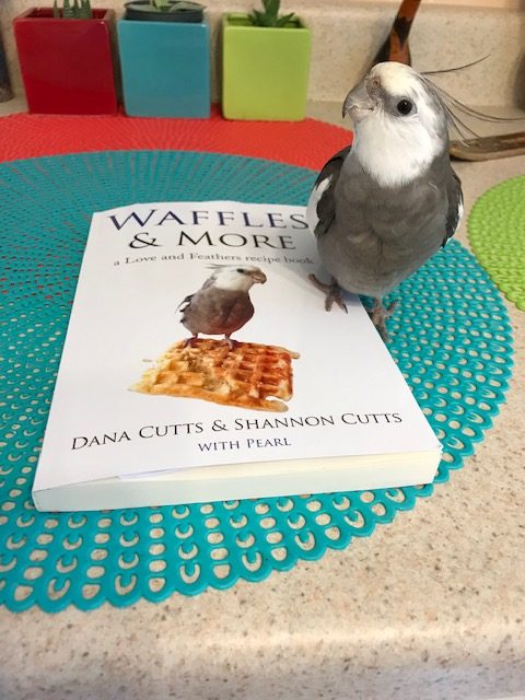 Waffles & More recipe book