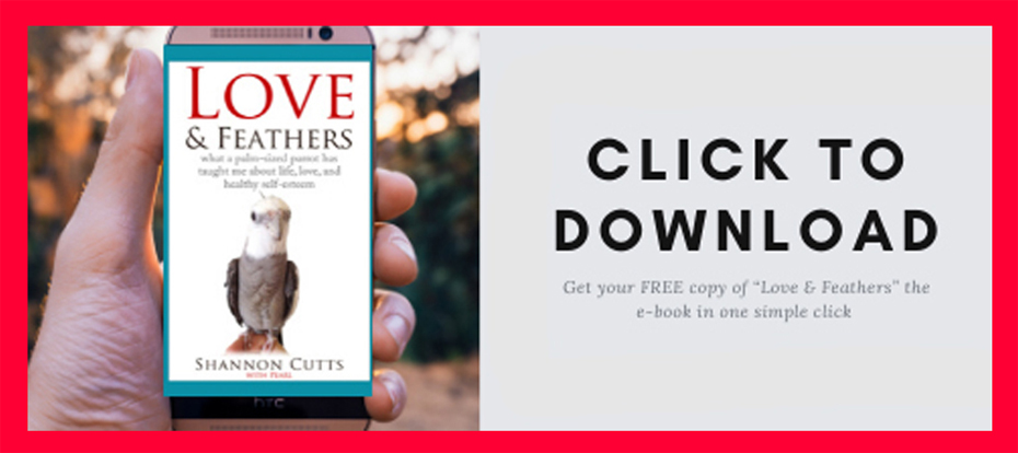 click to download ebook