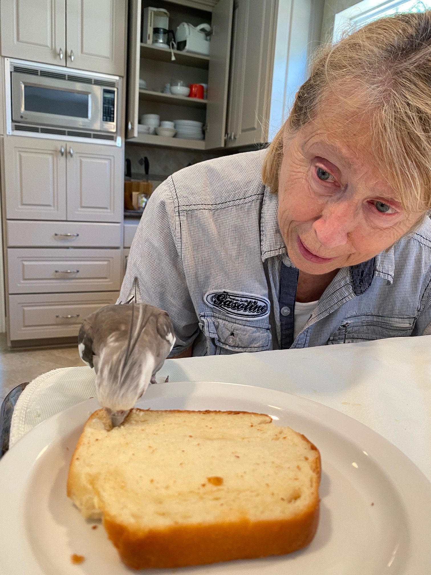 cockatiel eats bread