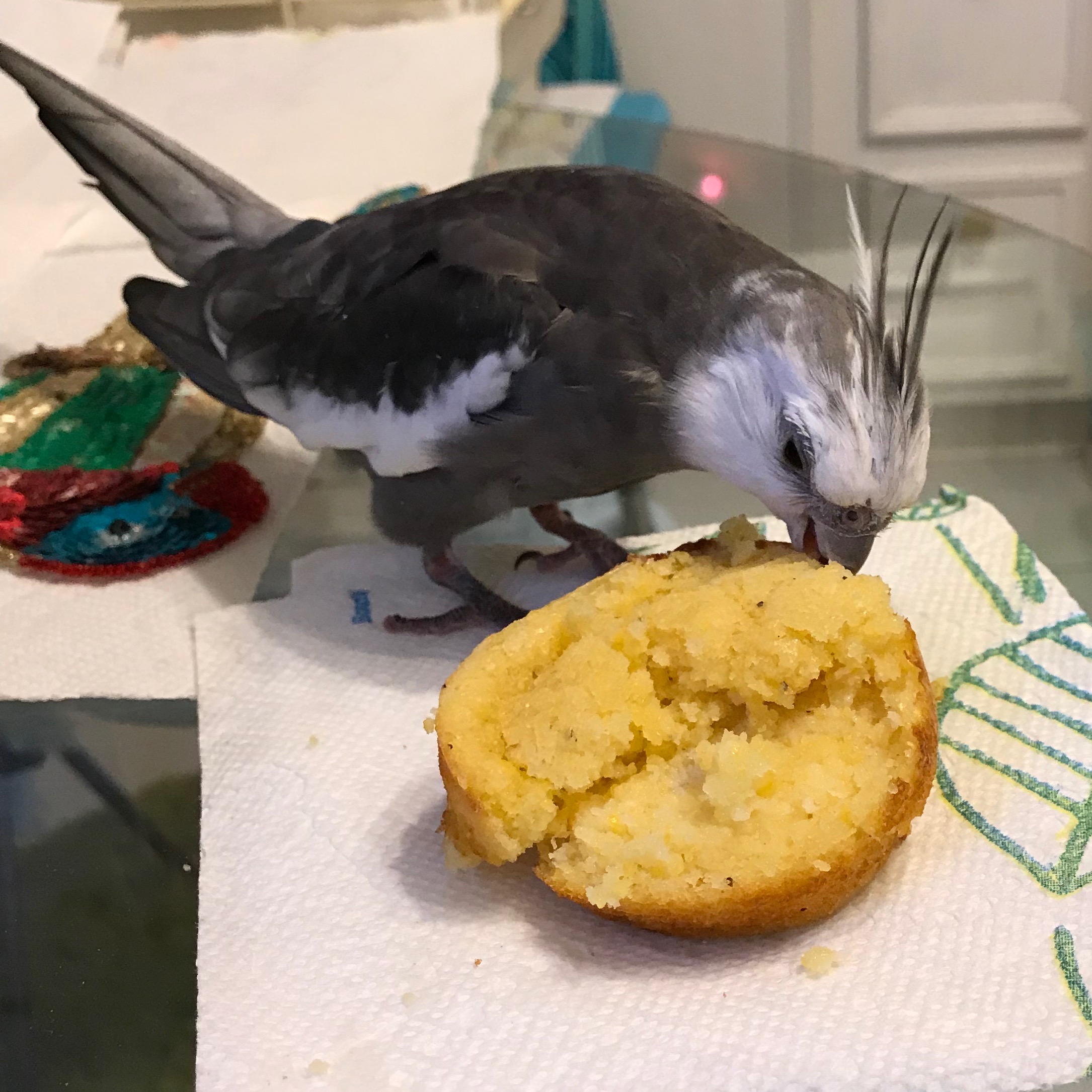 Cockatiel Corn Muffin 3