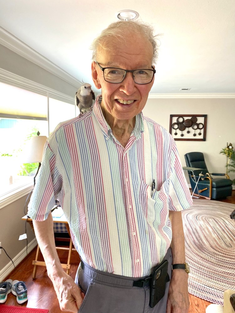 cockatiel perches on man