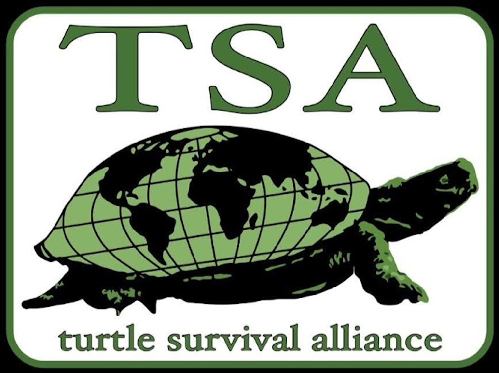 Turtle Survival Alliance