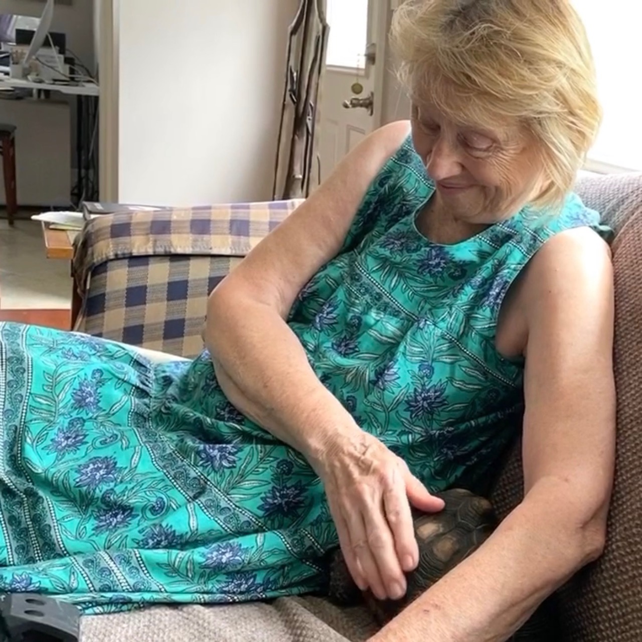 turtle with human on the couch