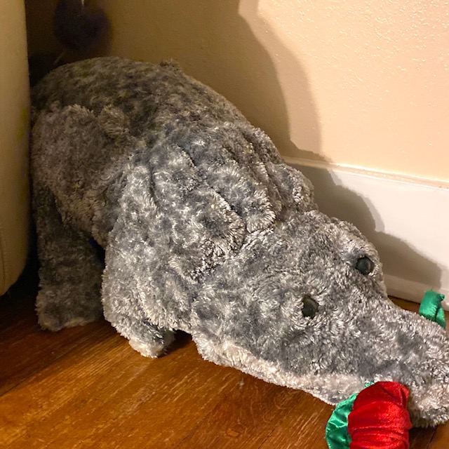 Redfoot tortoise underneath toy alligator