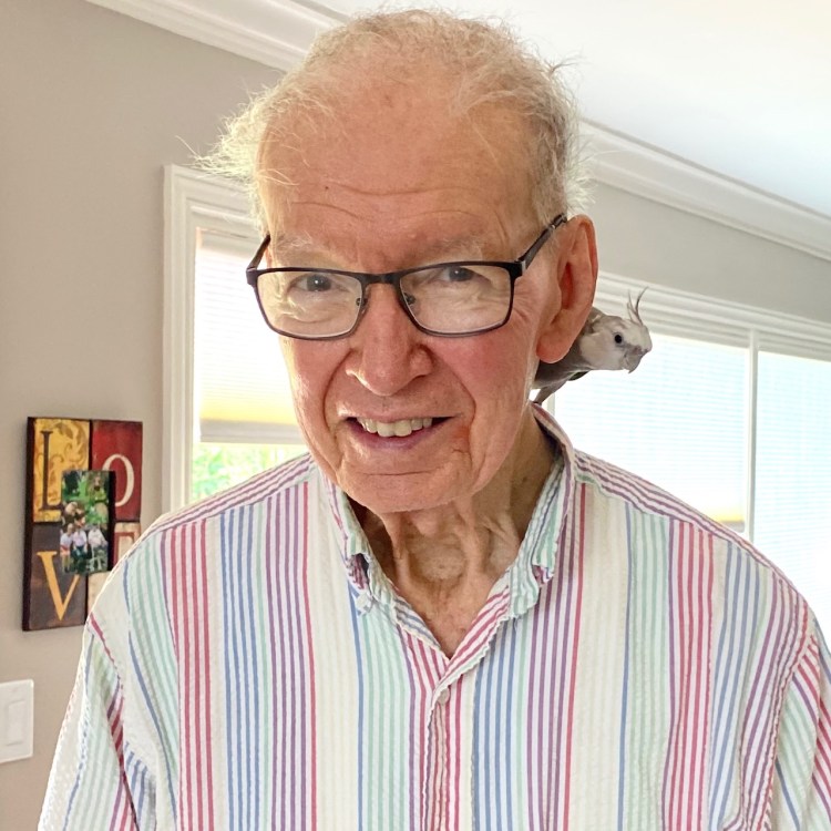 cockatiel sits on grandpa's shoulder