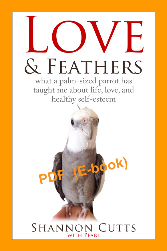 Love & Feathers book cover