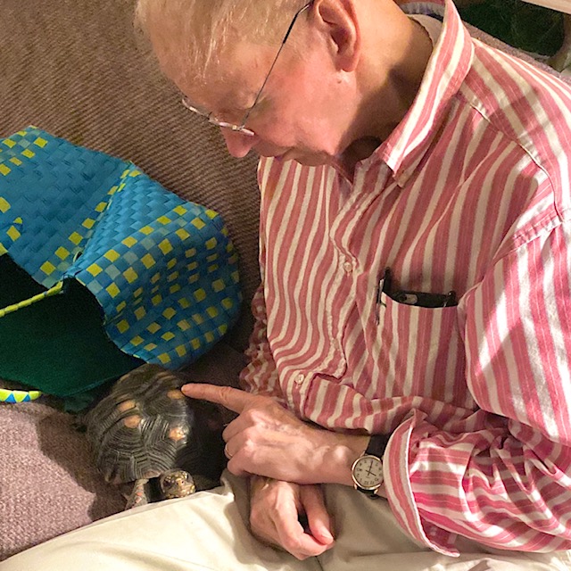 pet tortoise with grandpa