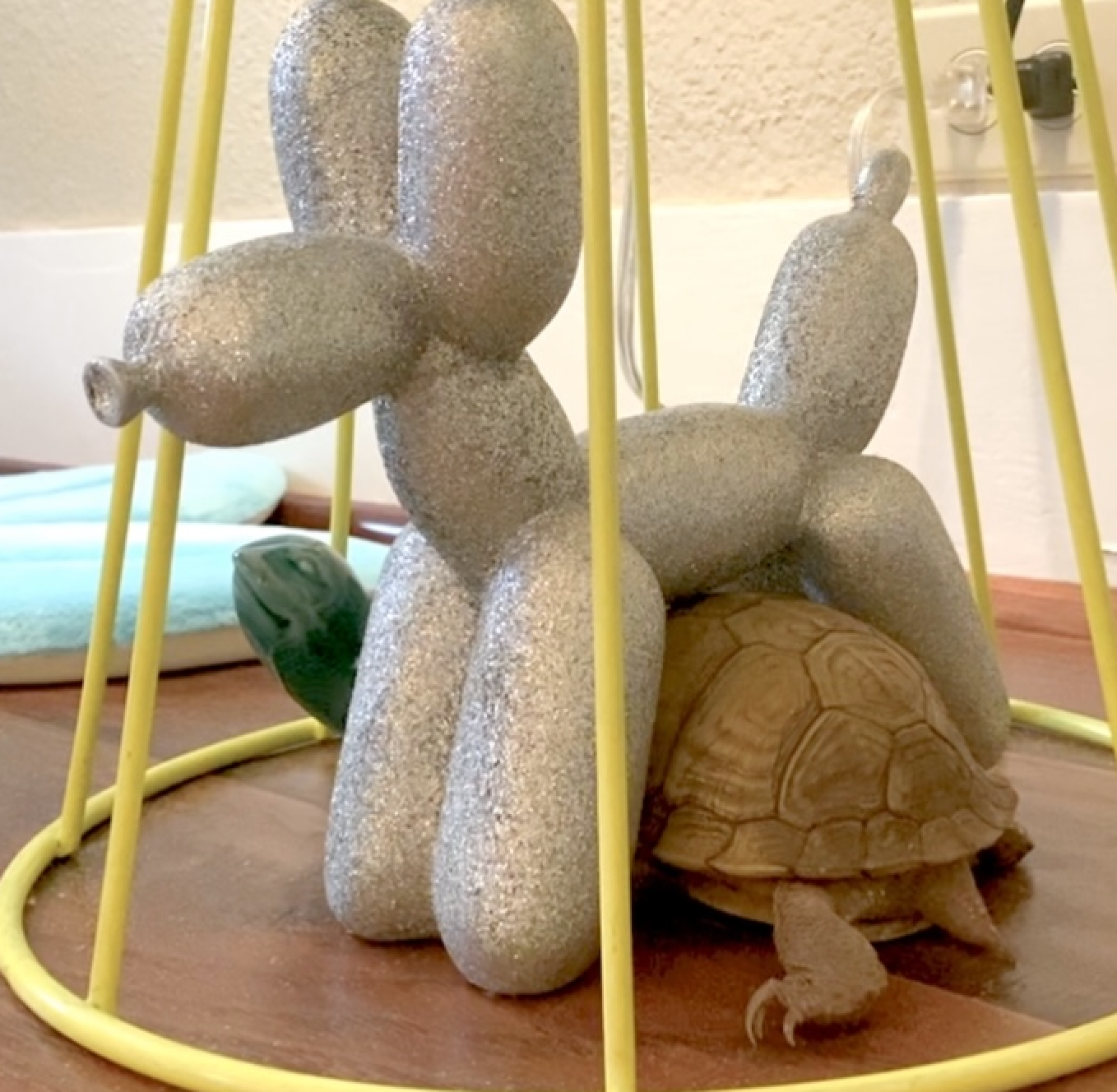 box turtle balloon dog